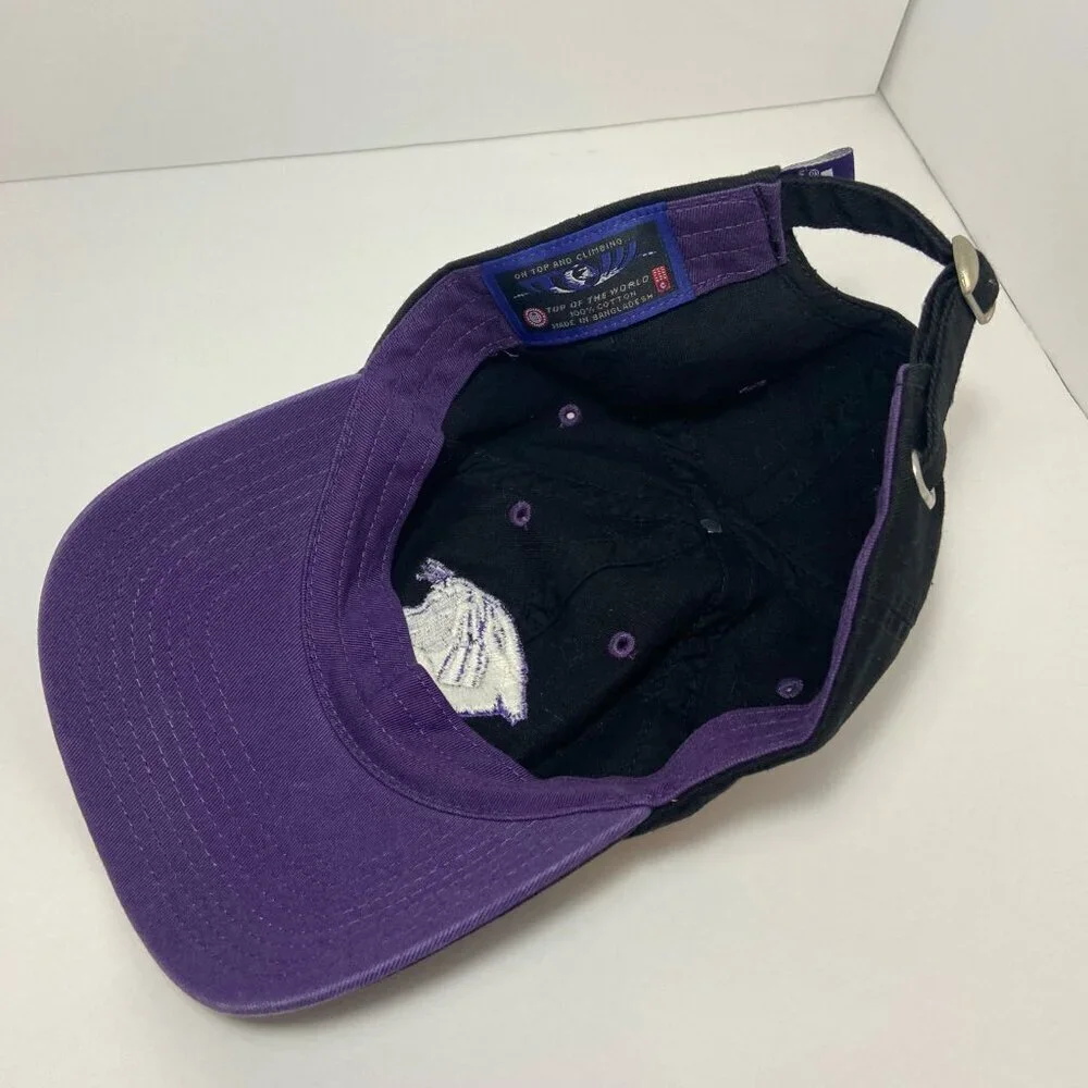 Northwestern Wildcats Top of the World Adjustable Hat – Purple & Black